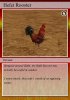 rooster card.jpg
